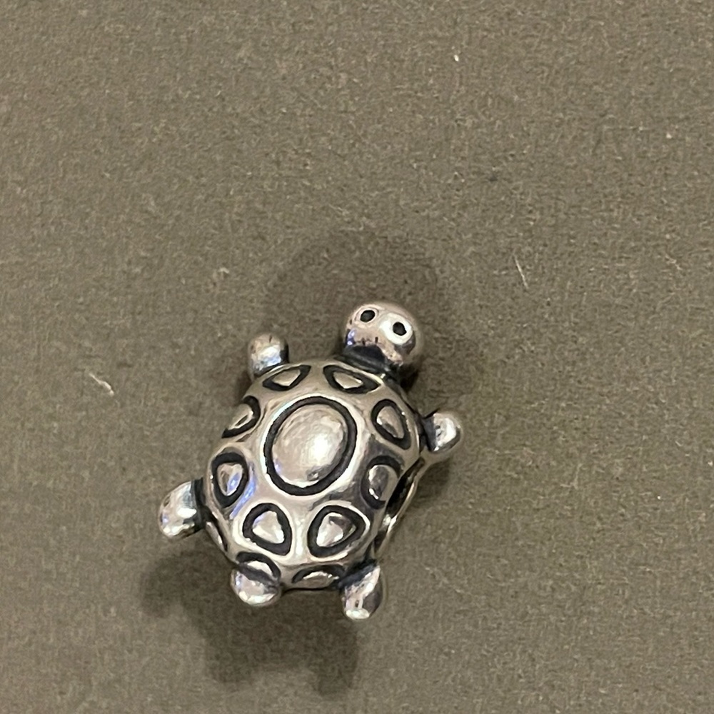 Pandora turtle and giraffe